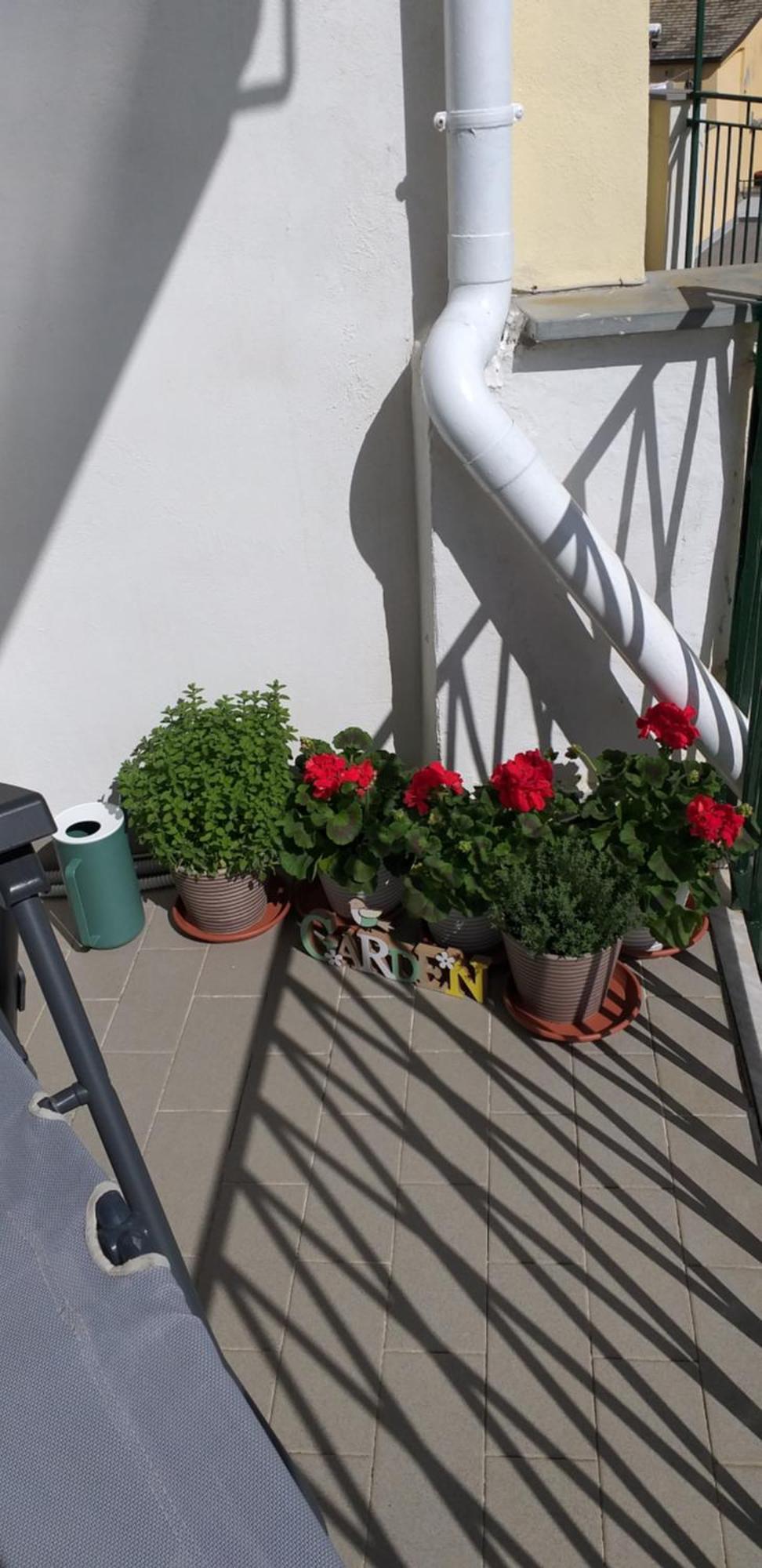 Aa Ciasea Duu Pintuu Apartment Riomaggiore Exterior photo